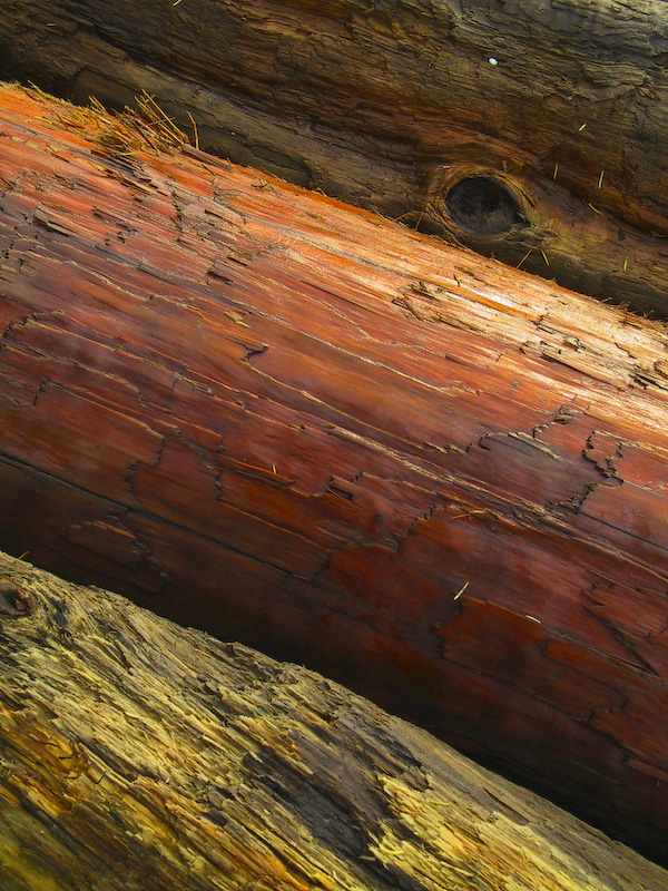 Driftwood Detail